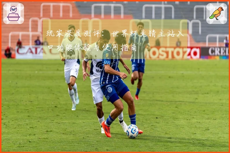 玩家深度测评：世界杯竞猜主站入口功能体验与使用指南
