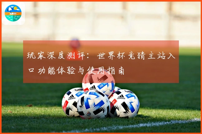 玩家深度测评：世界杯竞猜主站入口功能体验与使用指南