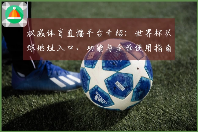 权威体育直播平台介绍：世界杯买球地址入口、功能与全面使用指南