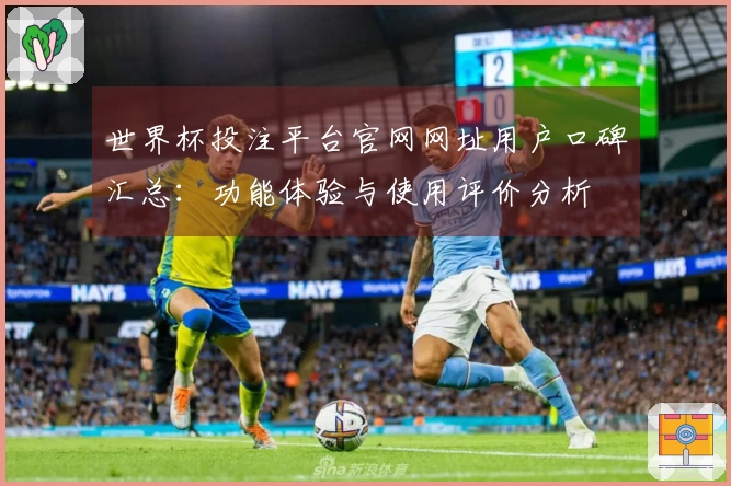 世界杯投注平台官网网址用户口碑汇总：功能体验与使用评价分析