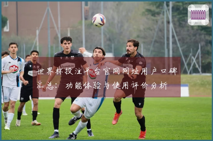 世界杯投注平台官网网址用户口碑汇总：功能体验与使用评价分析