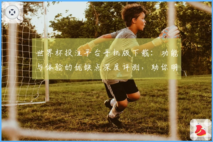 世界杯投注平台手机版下载：功能与体验的优缺点深度评测，助你明智选择