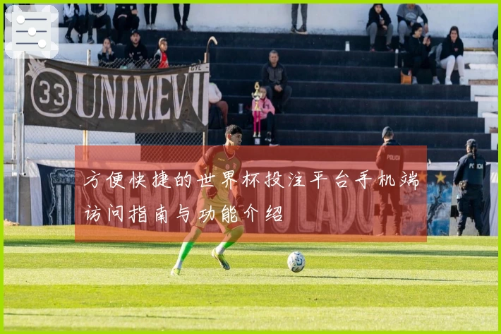 方便快捷的世界杯投注平台手机端访问指南与功能介绍