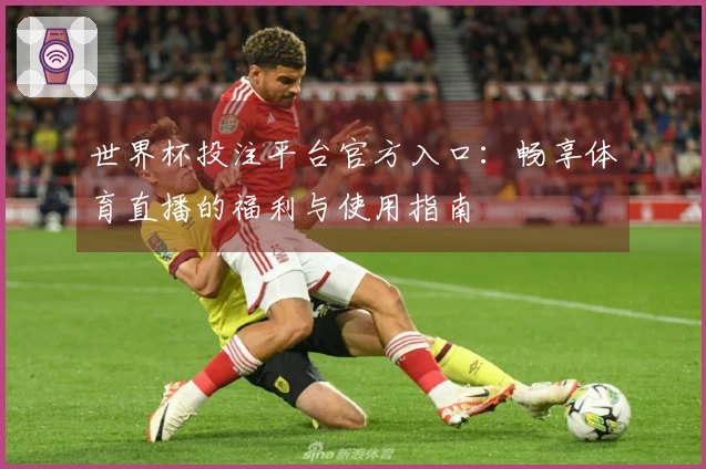 世界杯投注平台官方入口：畅享体育直播的福利与使用指南